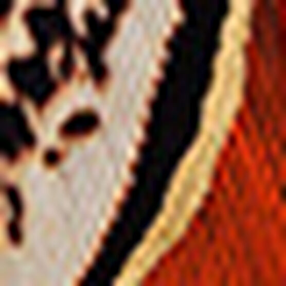 ROUGE G MAJESTC FEATHERS CASE PHOENIX